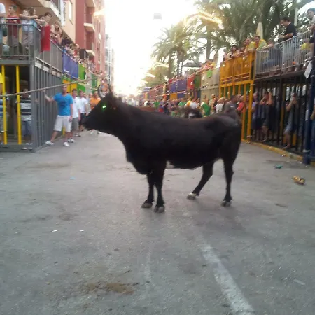 La Bohemia Cerca De Denia Y Javea * Gata de Gorgos